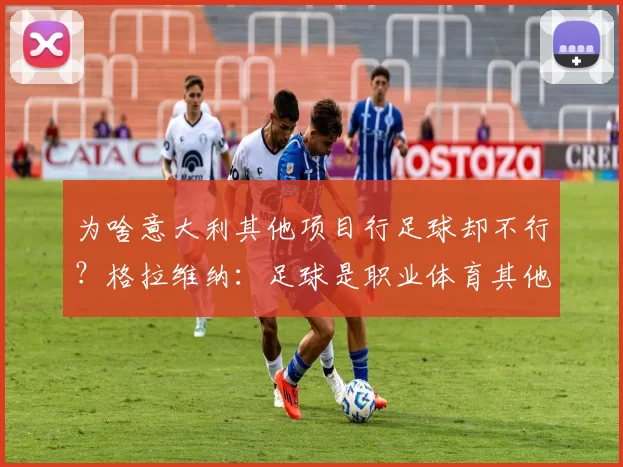 为啥意大利其他项目行足球却不行？格拉维纳：足球是职业体育其他是业余体育