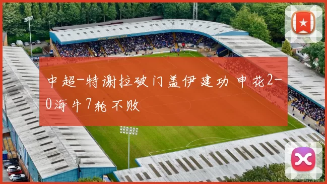 中超-特谢拉破门盖伊建功 申花2-0海牛7轮不败