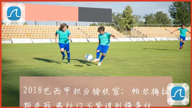 2018巴西甲积分榜收官：帕尔梅拉斯夺冠 弗拉门戈紧追列强争位