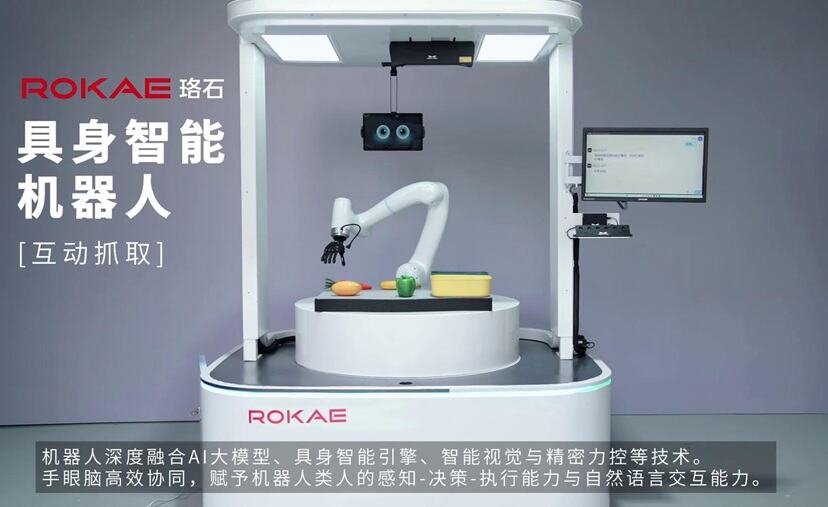具身智能机器人互动抓取